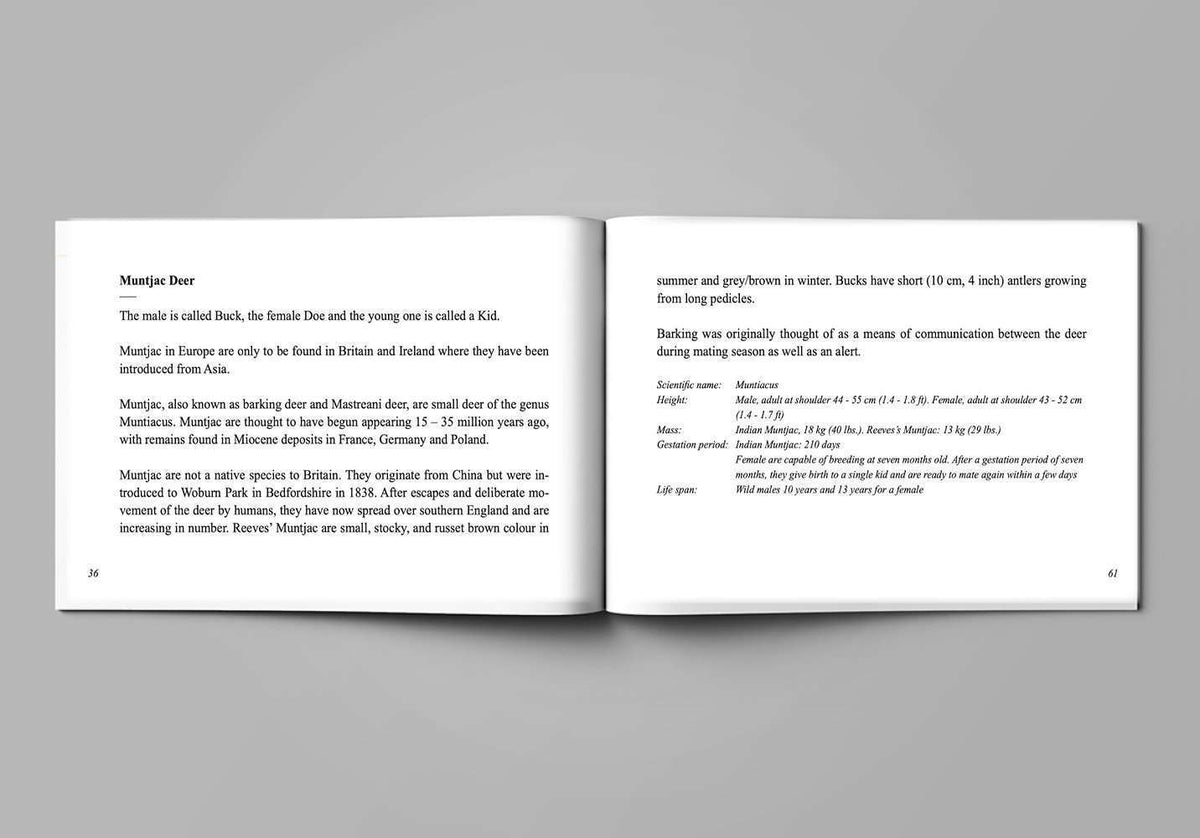 One Shot - Book