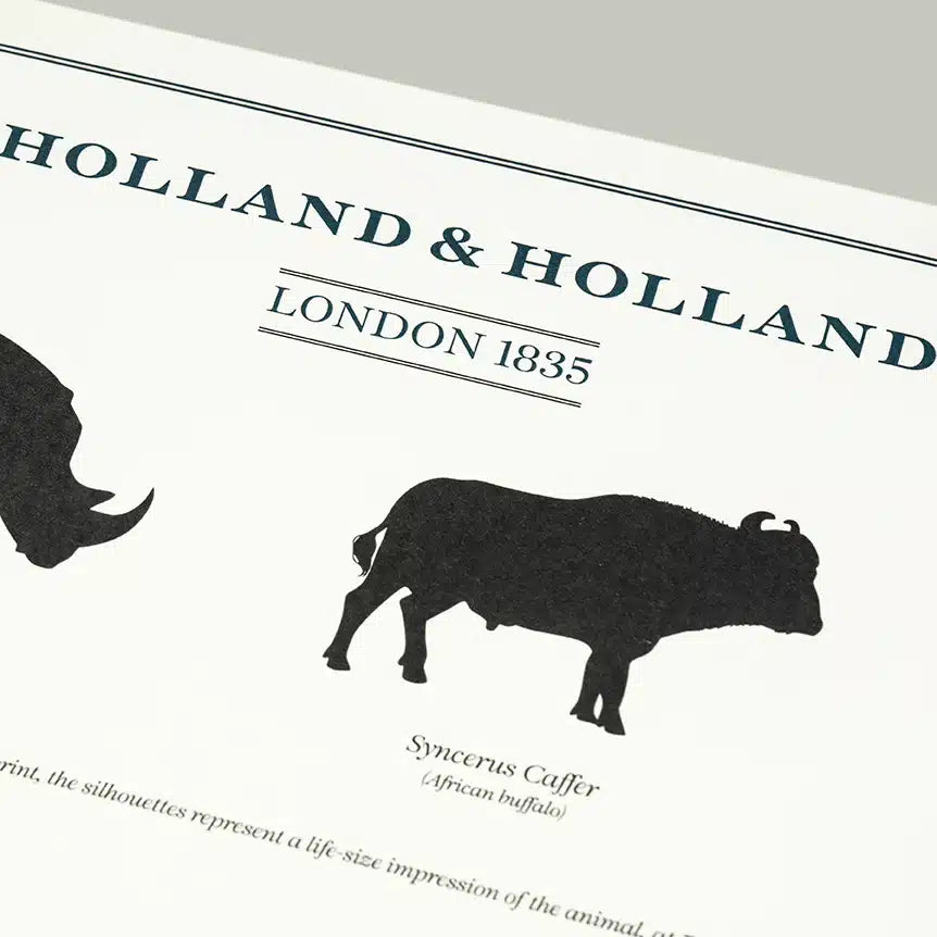 H&H - Big Five Combination Distance Print Framed