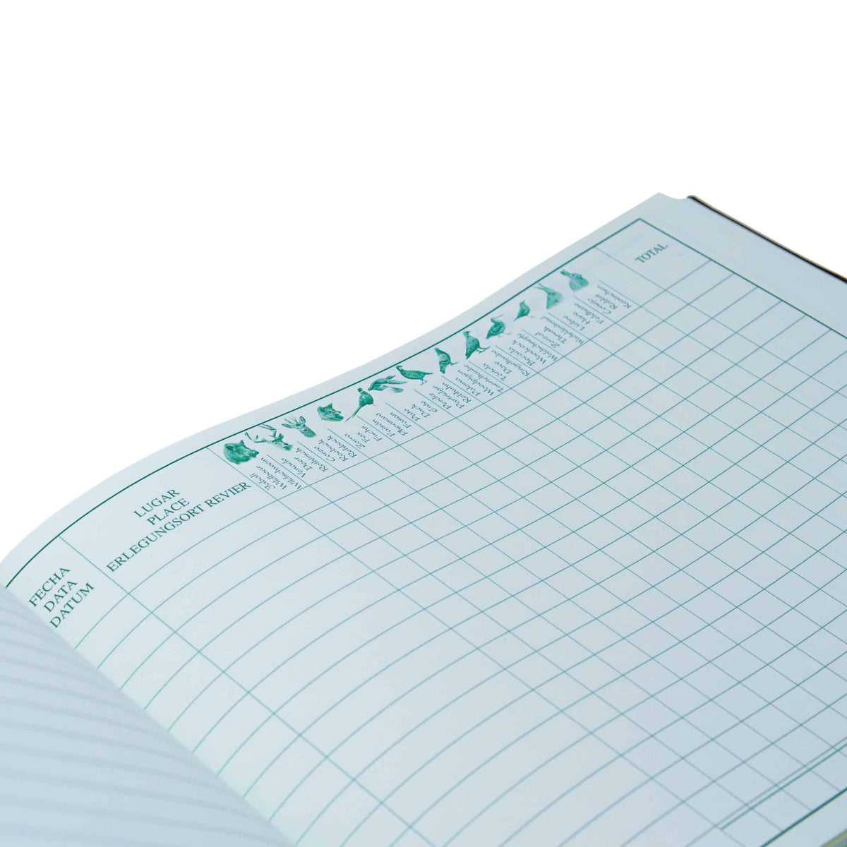 Rey Pavon <br> Game Book