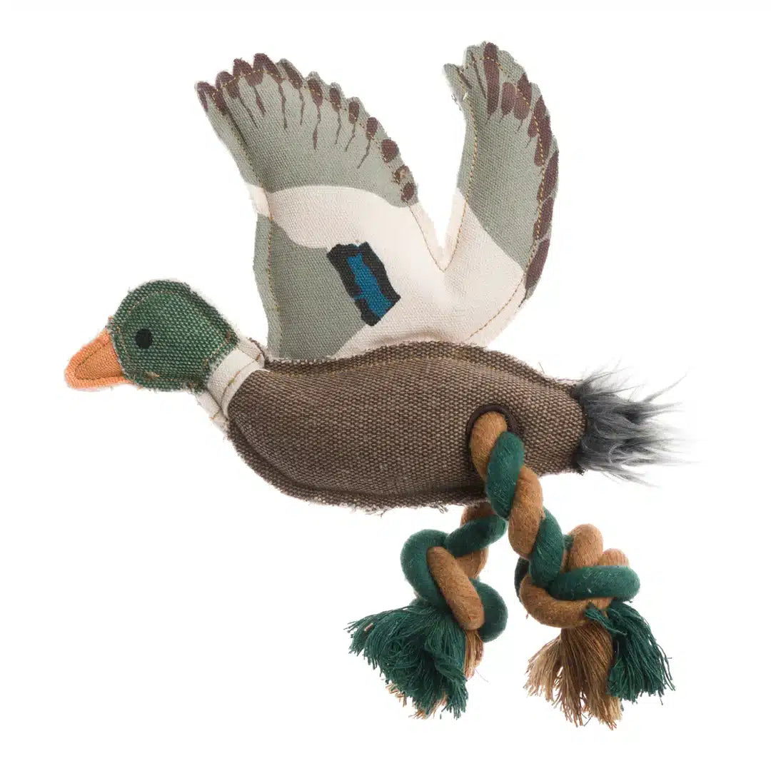 Duck Pet Toy