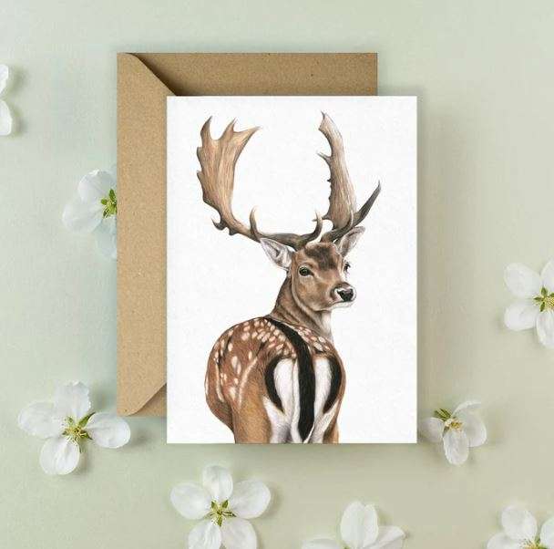 Fallow Deer Postcard - Kimberley Dewhurst