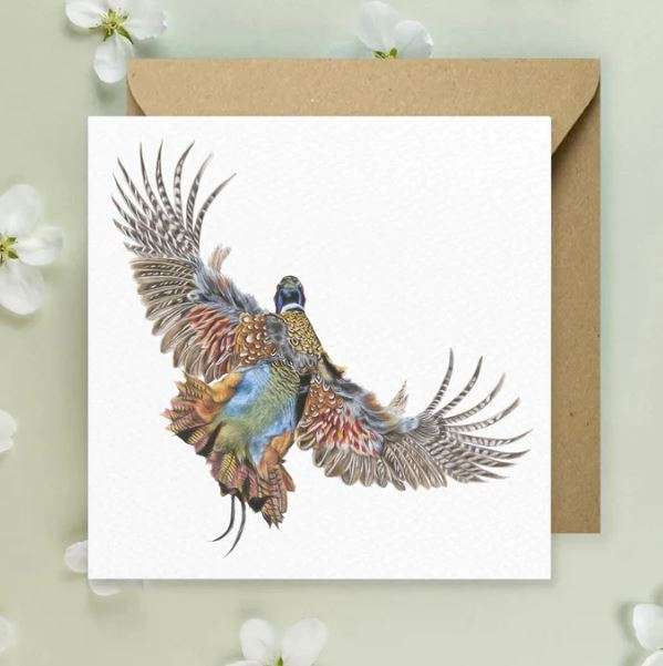 Pheasant in Flight Postcard - Kimberley Hurst
