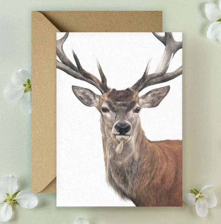 The Stag Postcard - Kimberley Dewhurst