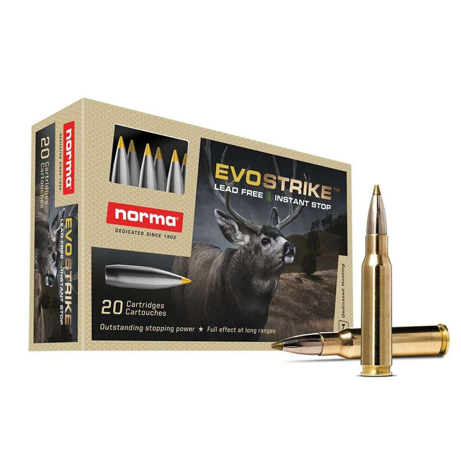Ammunition