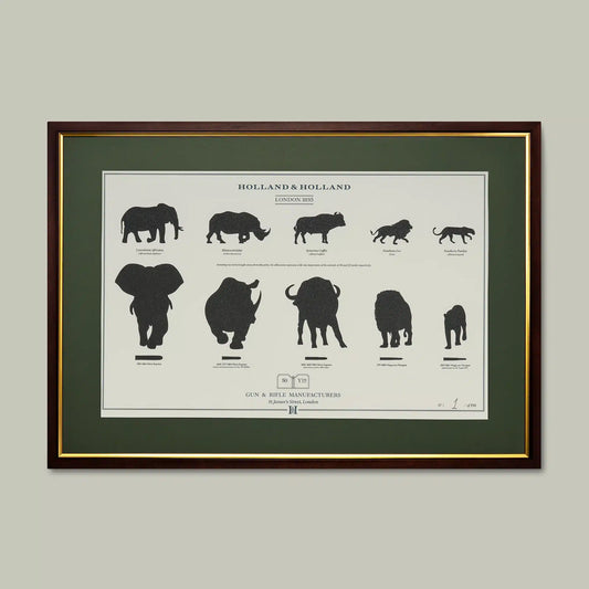 H&H - Big Five Combination Distance Print Framed