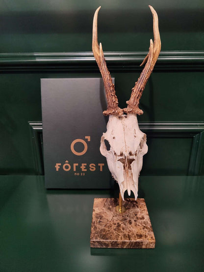 Forest No 22 <br> Roe Buck Marble Mount Brown